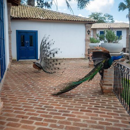 Hotel Fazenda Sao Silvano Morungaba Exterior foto