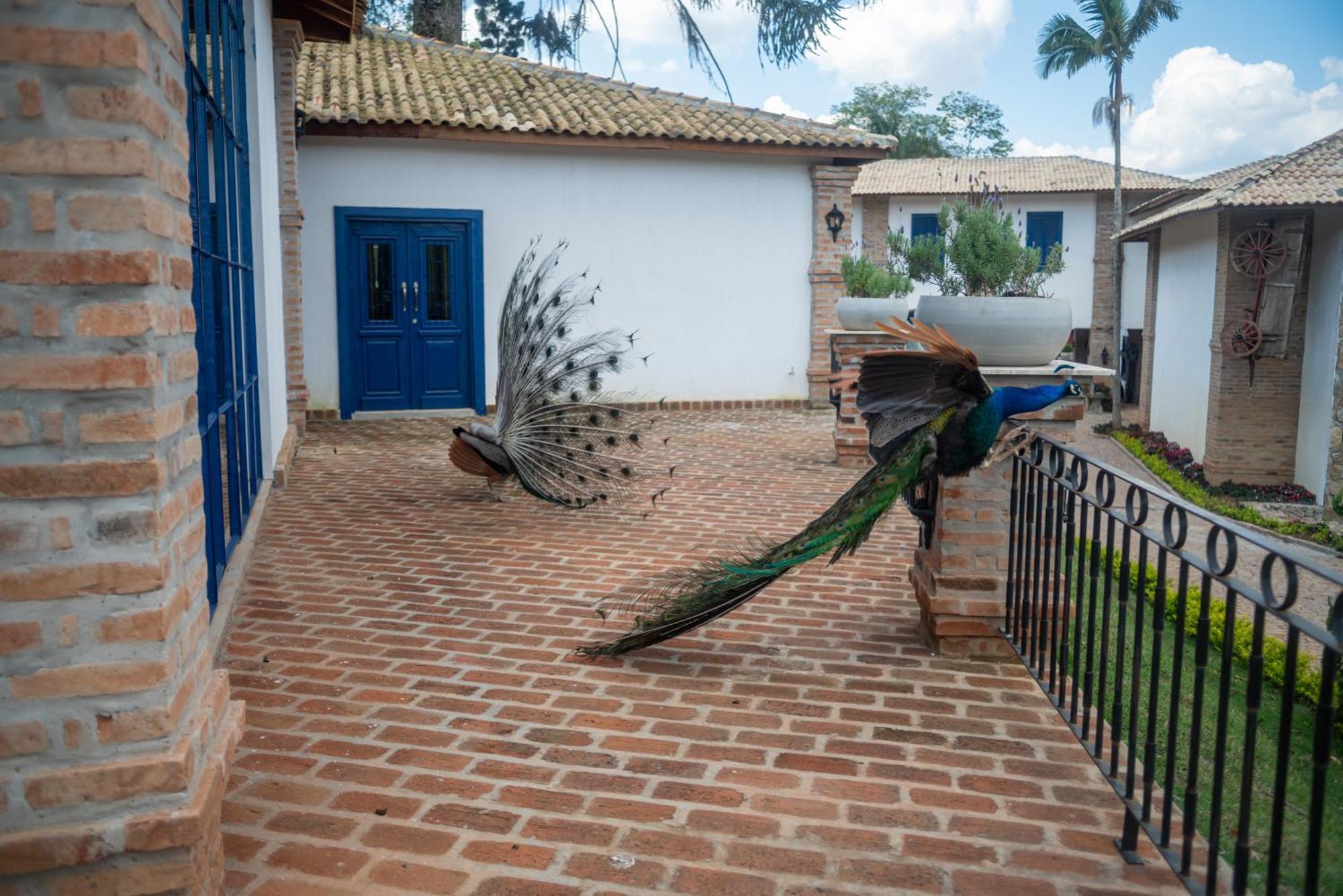 Hotel Fazenda Sao Silvano Morungaba Exterior foto